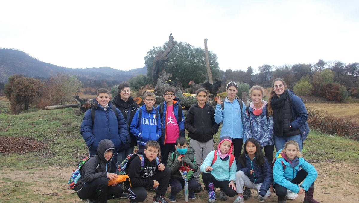 Vida d’una alzina, un projecte més que pedagògic Vida d’una alzina, un projecte més que pedagògic
