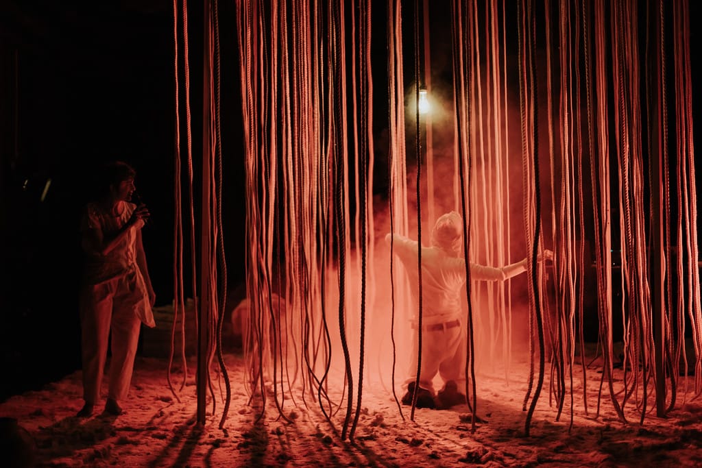 Estimadíssims malvats