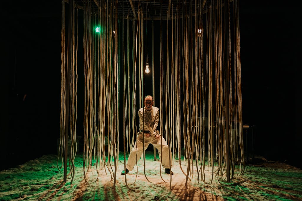 Estimadíssims malvats